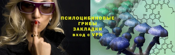 твердый Арсеньев