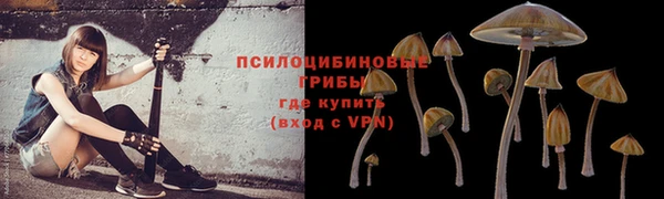 гашик Аркадак
