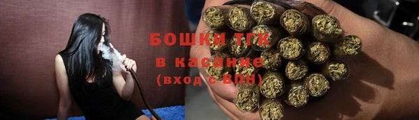 гашик Аркадак