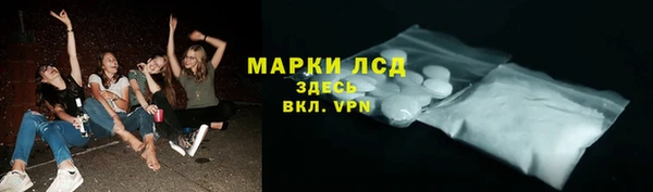твердый Арсеньев