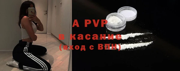 твердый Арсеньев