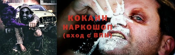 гашик Аркадак