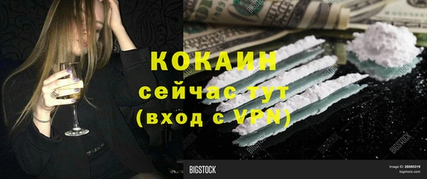 твердый Арсеньев