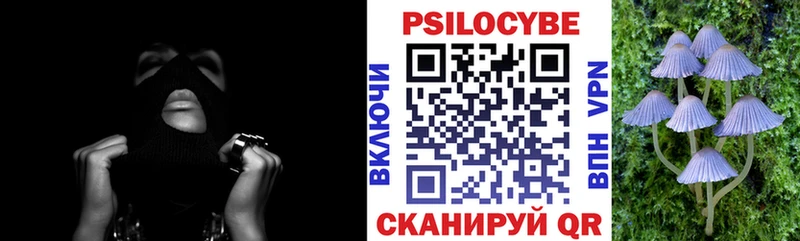 Галлюциногенные грибы прущие грибы  Купить закладки  Торжок 